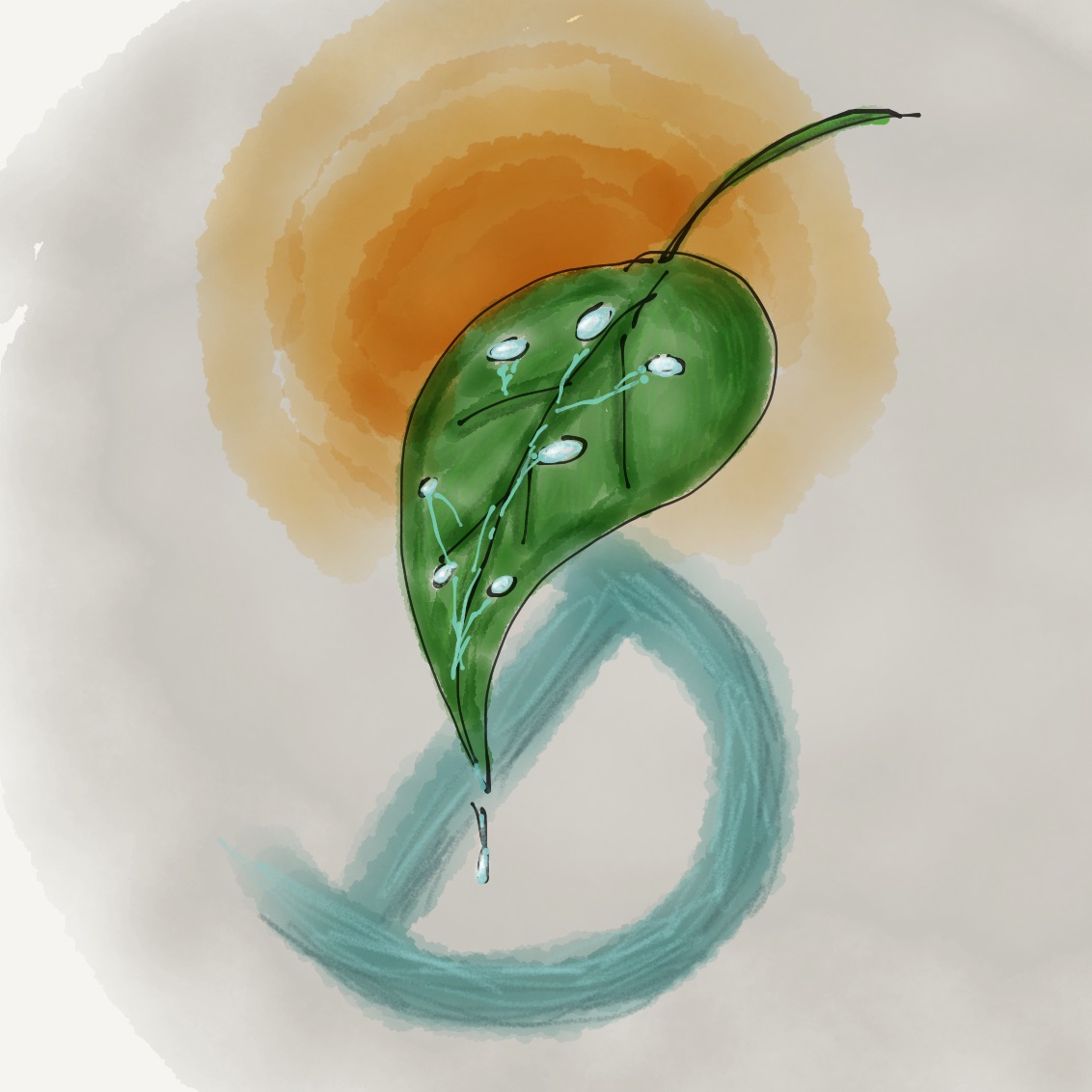 Letter D